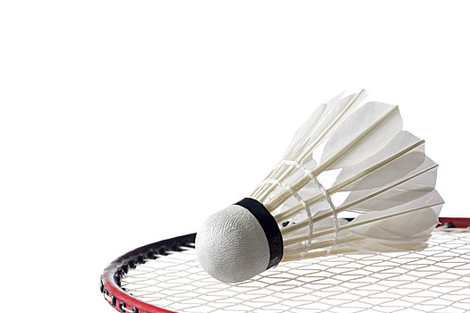 的冷冰冰数 的冷冰冰数