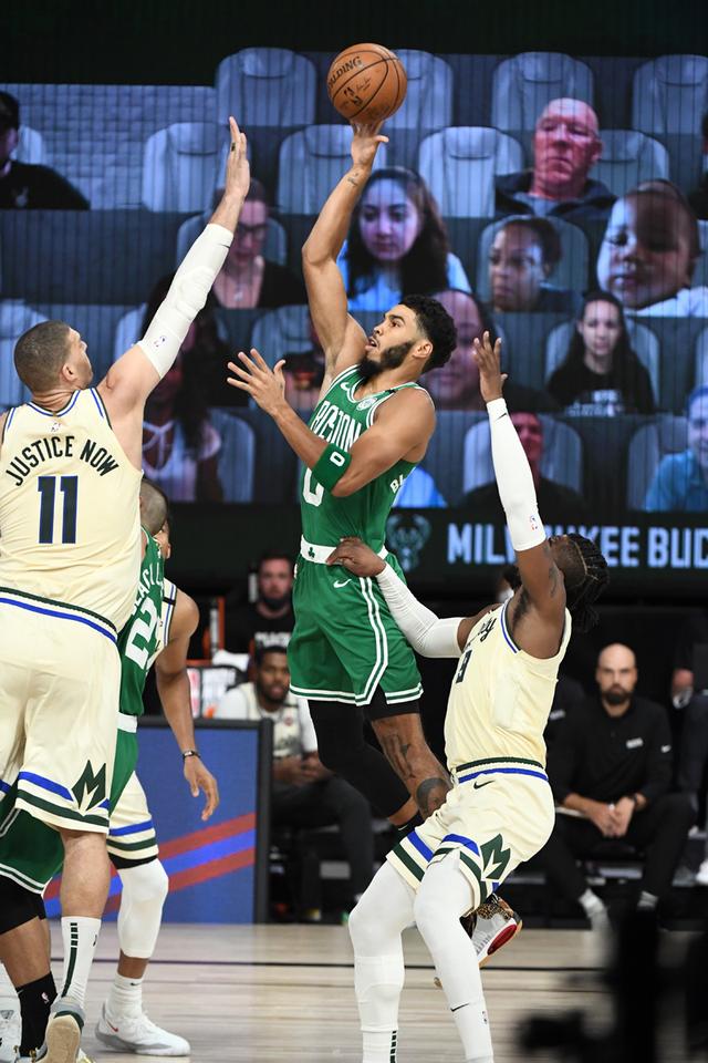 芽期识别并 芽期识别并